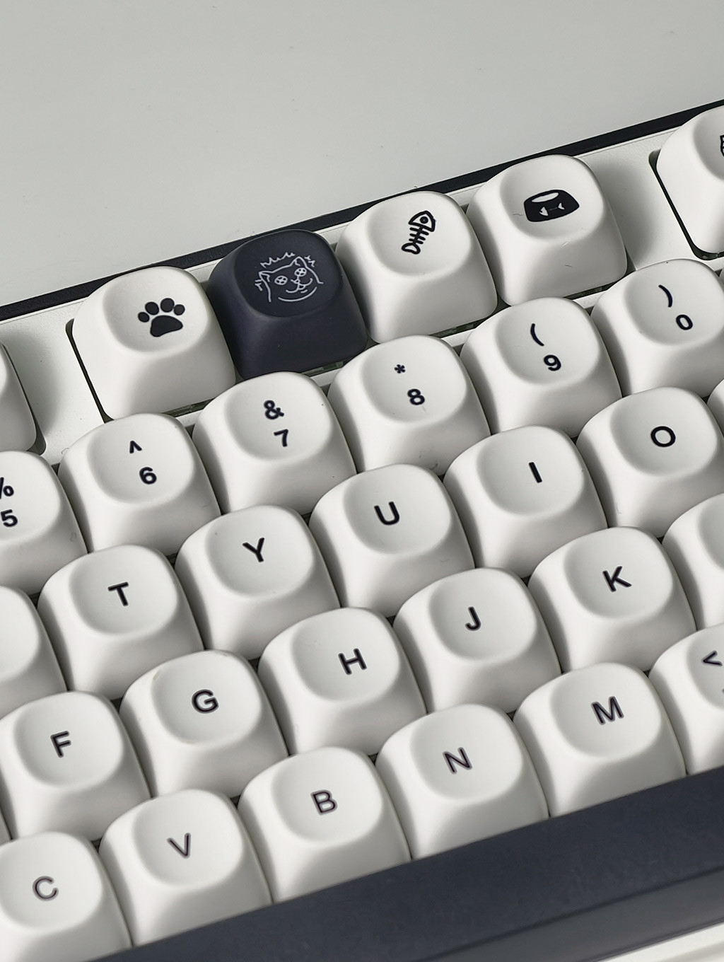 Strange Cat Keycaps MOA Profile 124 Keys PBT Dye Sublimation Aula F75 ...