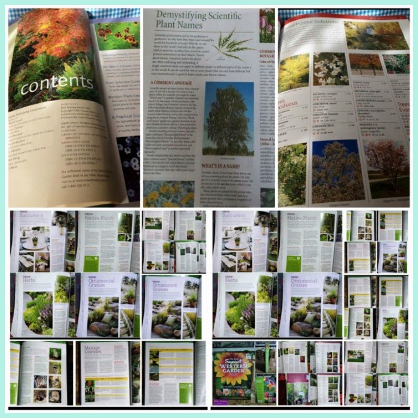 HOME & GARDEN: ORCHIDS / AGRICULTURE : COMPLETE GUIDE / PLANT ...