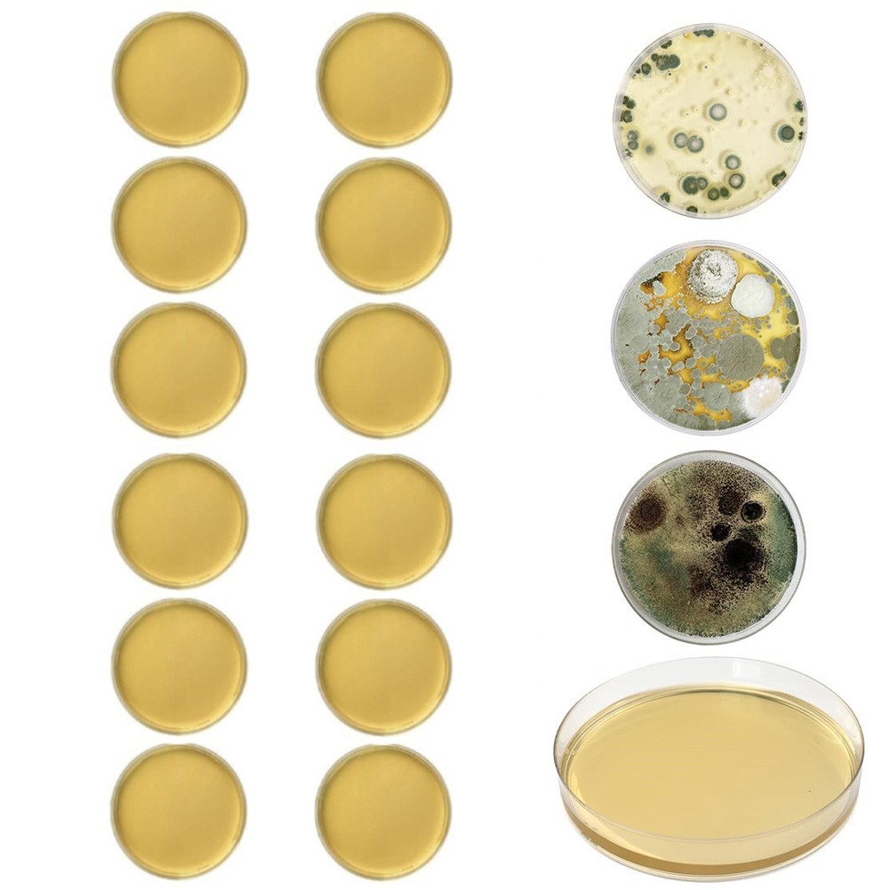 【RSTR】12 Individual Tests for Mold Test Kit Home DIY Detector HVAC/Air ...