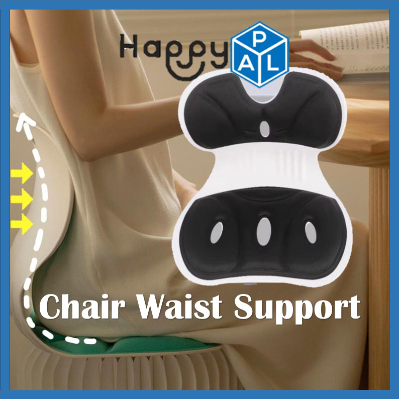 HAPPYPAL Lower Back Support Chair Posture Seat Learning Sitting Posture ...