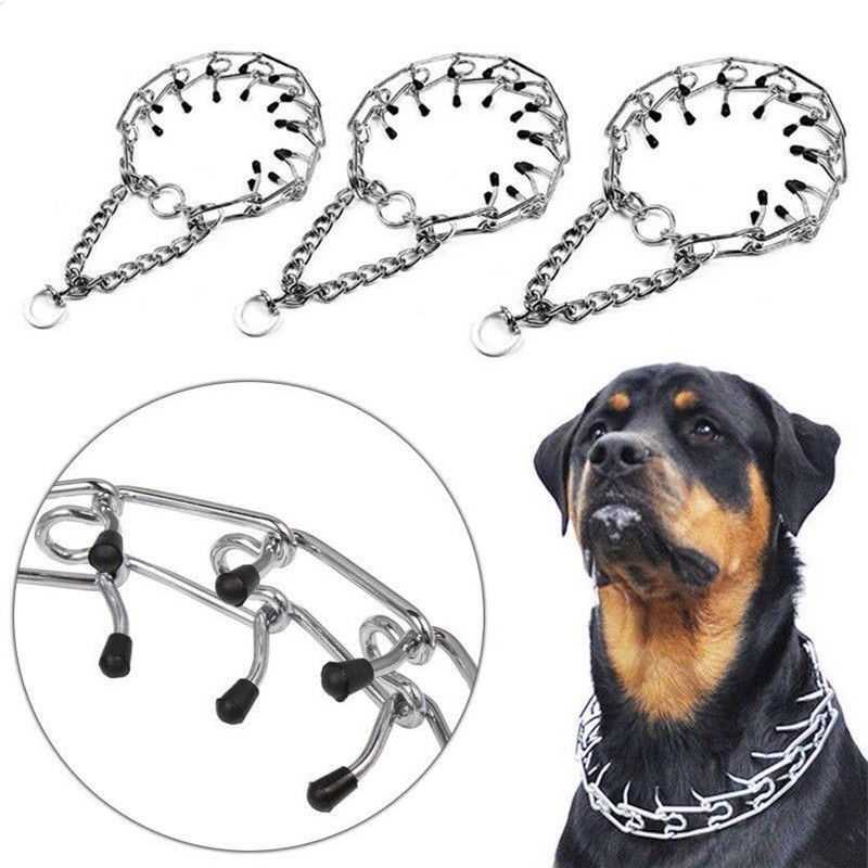 Metal choker collar dog hotsell