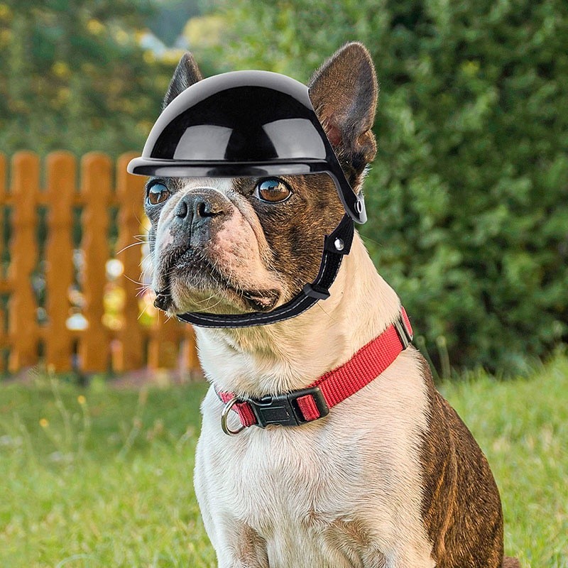 HamshMoc Motorcycle Dog Helmet Multi-sport Dog Hard Hat with Adjustable ...