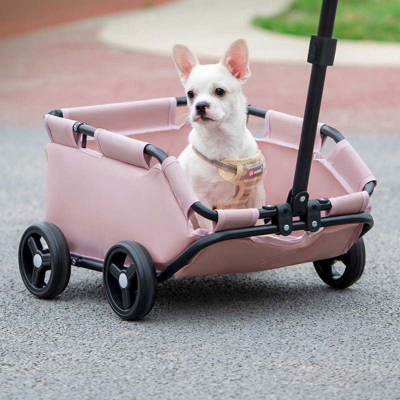 Small dog trolley sales
