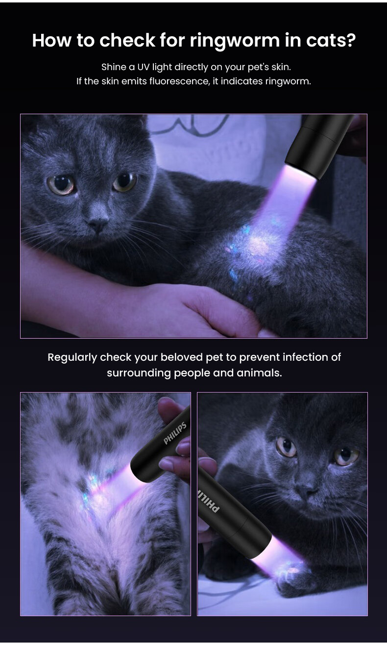 Philips Wood's UV Lamp SFL2091 Ringworm Detection | Shopee Singapore