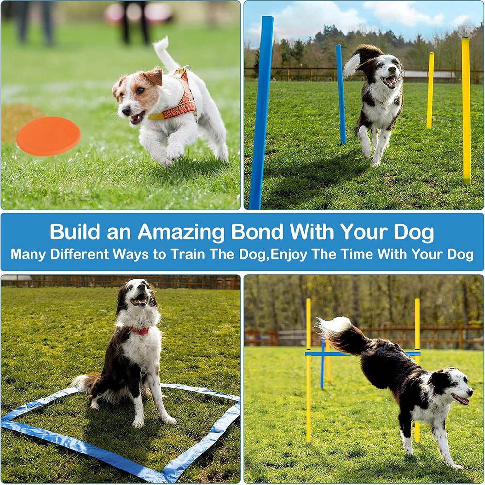 Dog agility training equipment, indoor and outdoor obstacle jumping ...