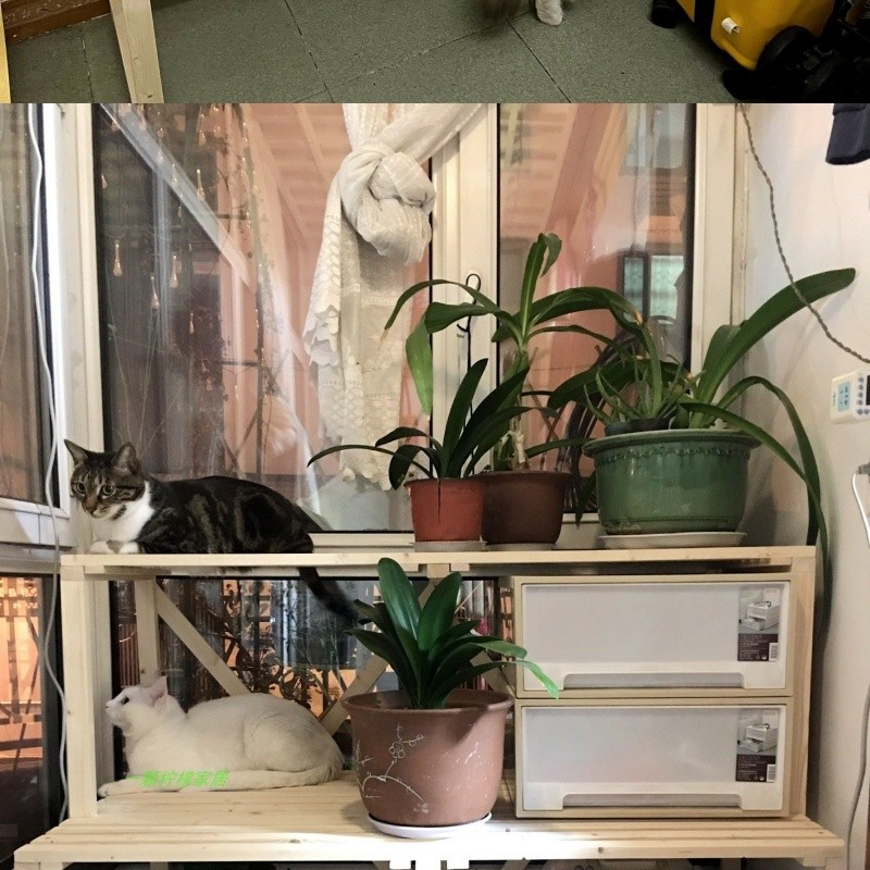 Solid Wood Litter Box Storage Rack Multi-Layer Cat Climbing Frame Pet ...