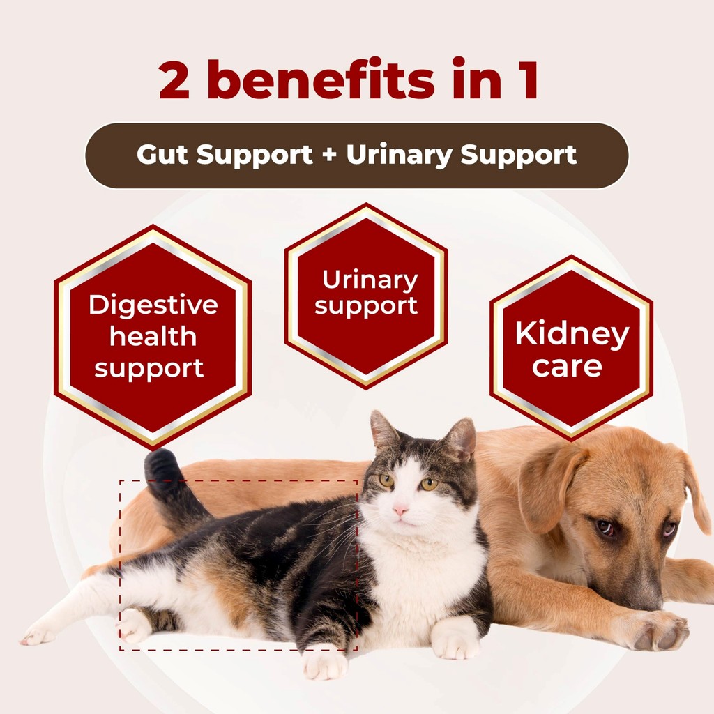 Picture of MyKazoku Probiotics Gut and Urinary Tract Care 100g Dogs Cats ...