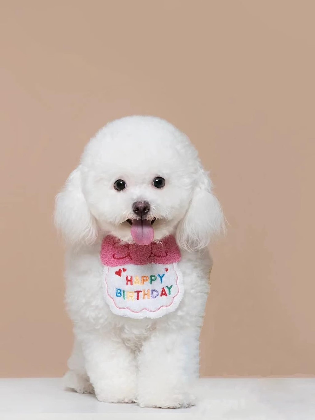 Mi Pet Lover】Dog Cat Birthday Bib Party Hat Set Birthday Party