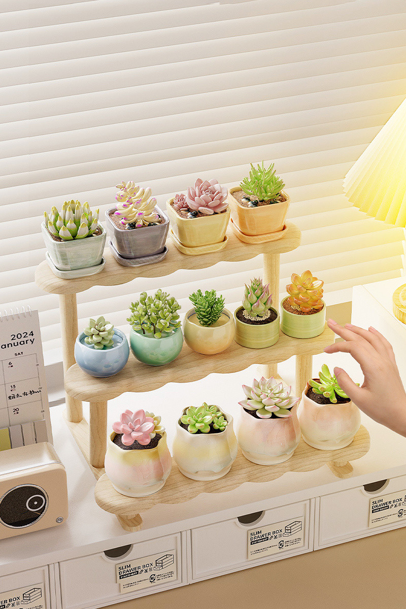 [in stock] Succulent Stand Display Rack Balcony Flower Pot Plant Small ...
