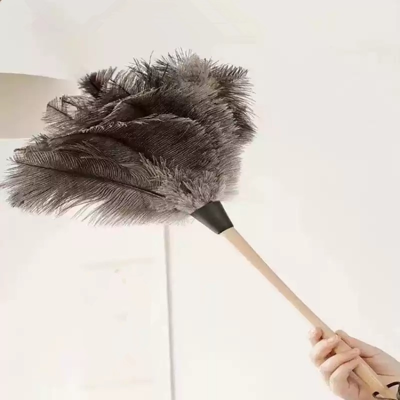 1Pcs Ostrich Feather Duster Brush Handle Anti-static Feathers Dust ...