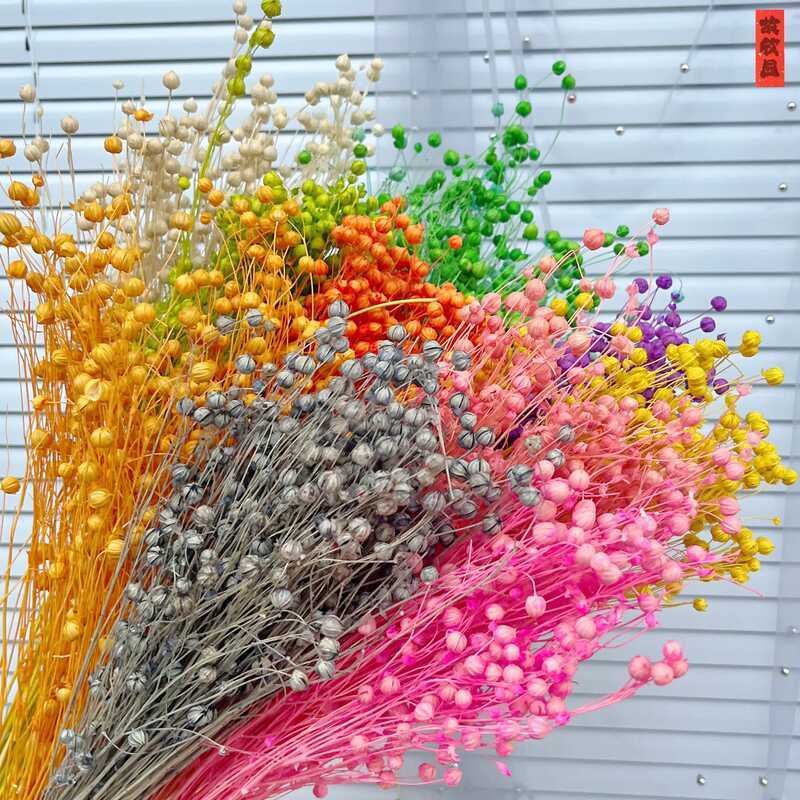 Fugui Dried Bean Flower Golden Silver Acacia Bean Fugui Bean Flax Bean ...