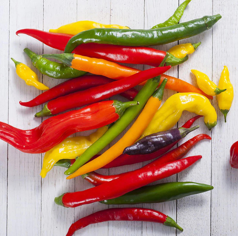 Plant Talks Authentic Mixed Cayenne Pepper Seeds Super Hot Chilli ...