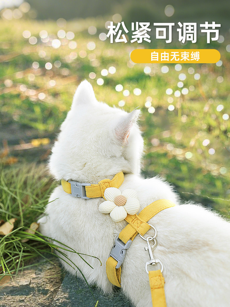 Cat Traction Rope Cat Rope Anti-breakaway Non-strangling Neck Walking ...