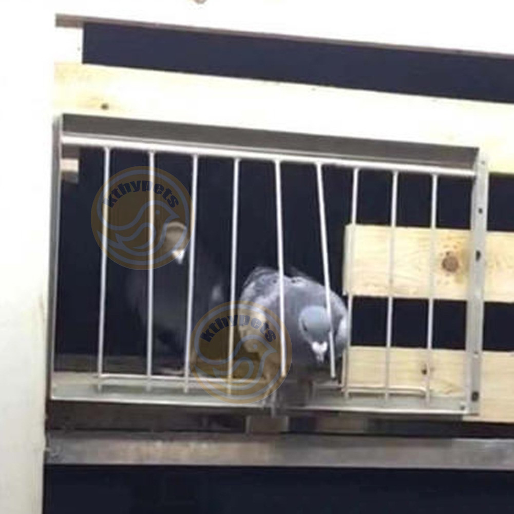 Bird Pigeon Trap Door Pigeon Cage Door Stainless Steel Frame Trapping ...