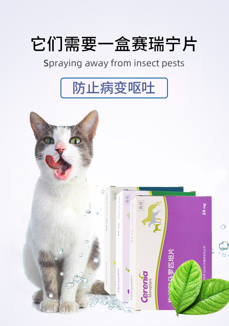 Pfizer Cerenia Tablets for Dogs Cats Antiemetic Motion Sickness Pet ...