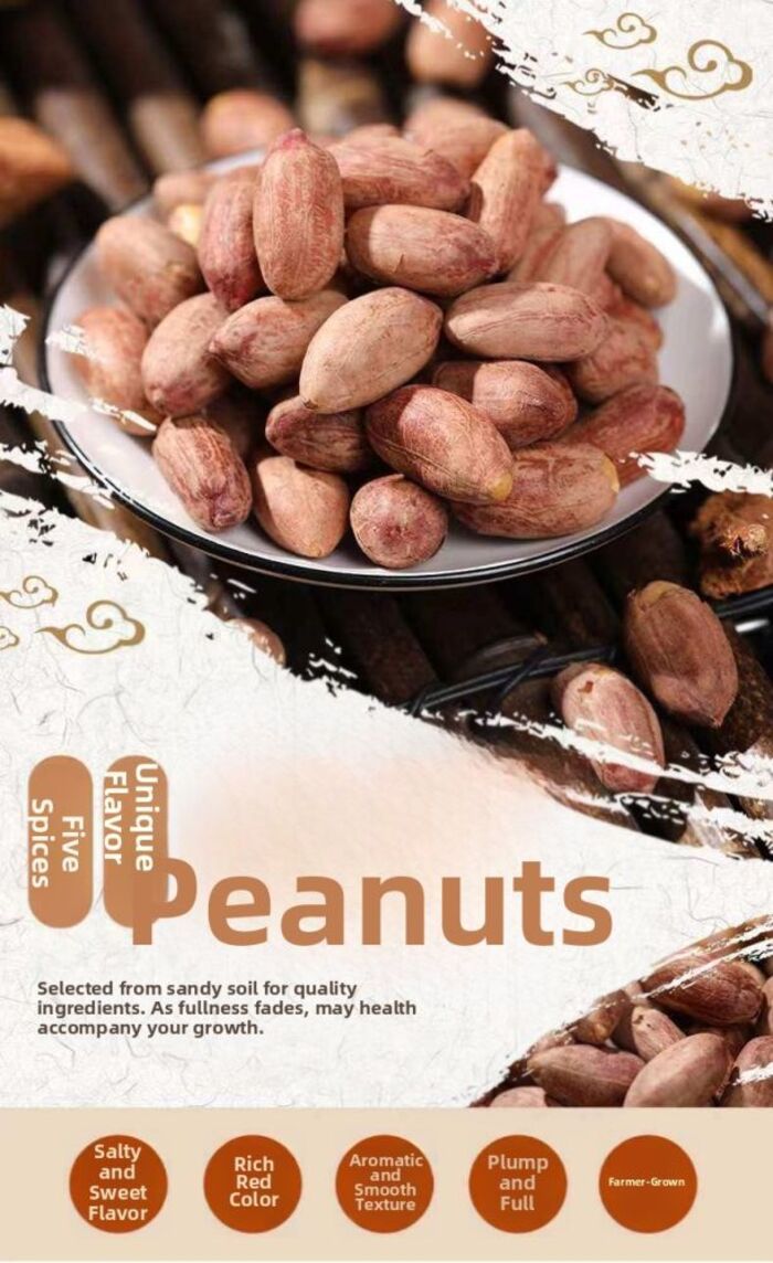 「SteadyEats」 Five-Spice Unique Flavor Roasted Peanuts | Shopee Singapore