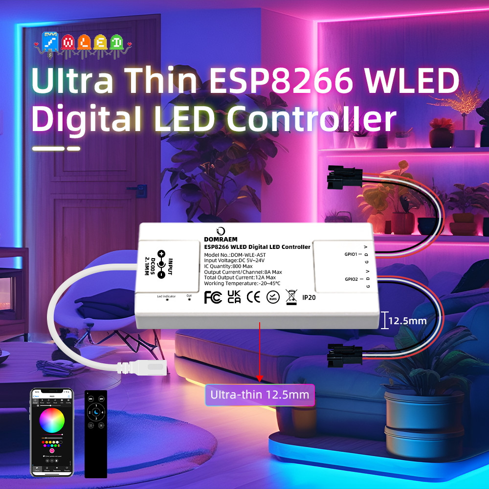 DOMRAEM ESP8266 WLED Digital DIY LED Controller - Ultra-Thin 2CH 12A ...