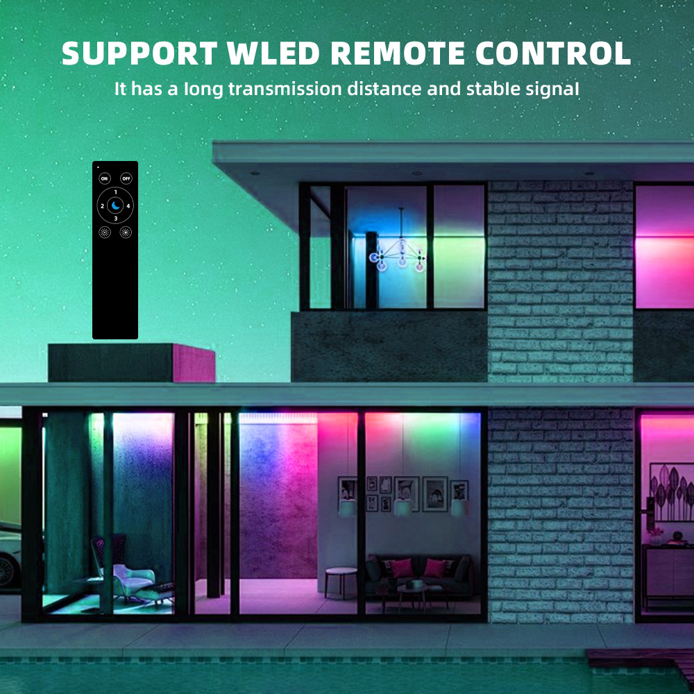 DOMRAEM ESP8266 WLED Digital DIY LED Controller - Ultra-Thin 2CH 12A ...
