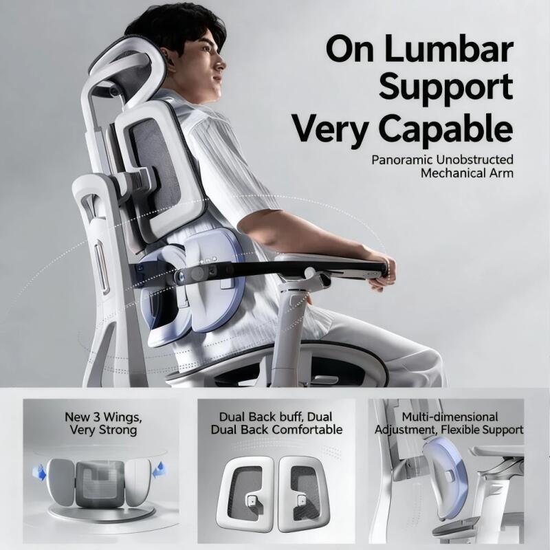 K-81 Ergonomic Office Chair - with 10CM Dynamic Lumbar Support 4D ...