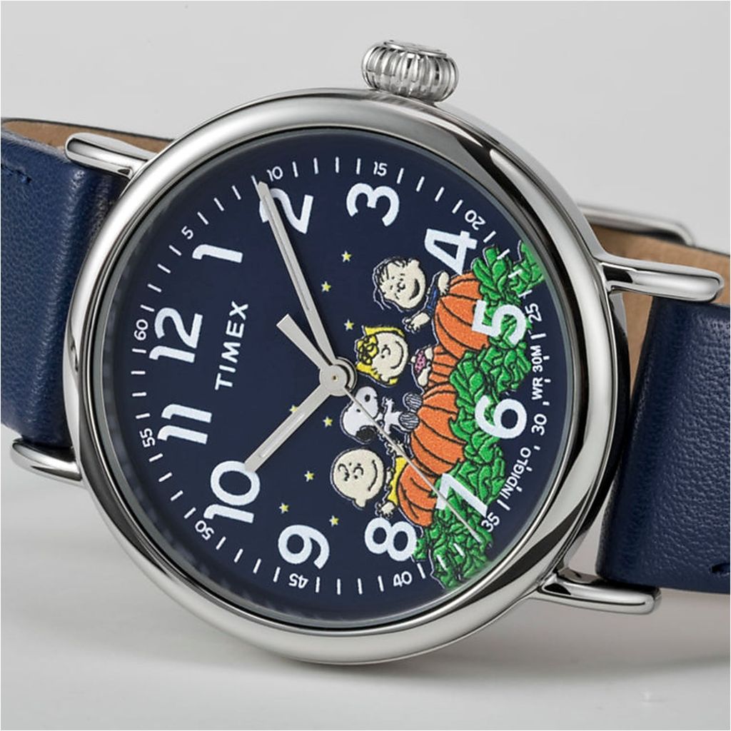 Timex Orologio da Uomo Expedition North 42 mm, in Pelle Marrone