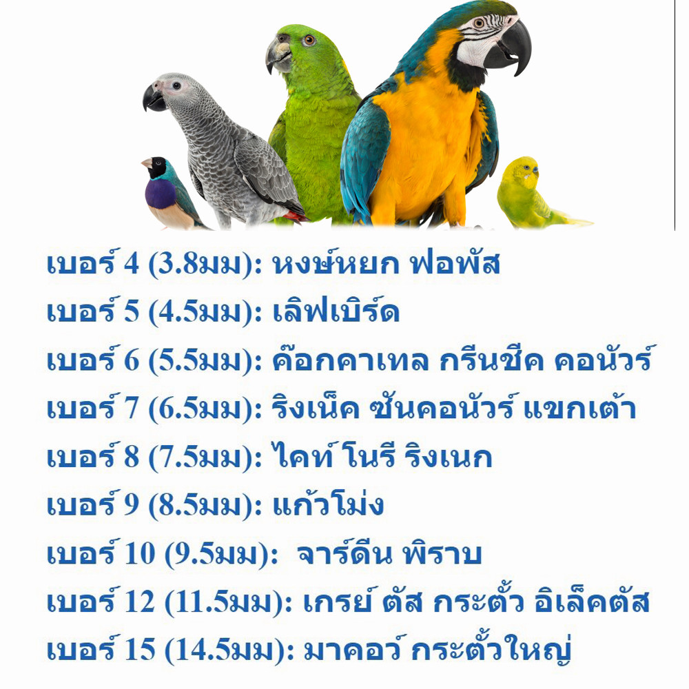 Parrot Leash Open Loop Strap Flying Training Rope Bird Pet Pigeon ...