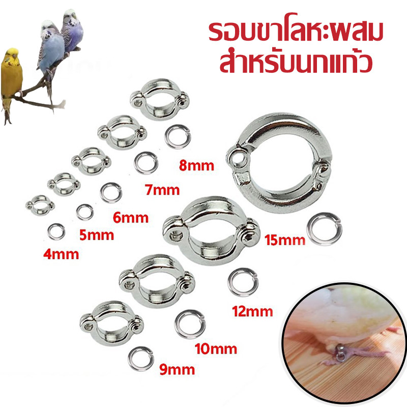 Parrot Leash Open Loop Strap Flying Training Rope Bird Pet Pigeon ...