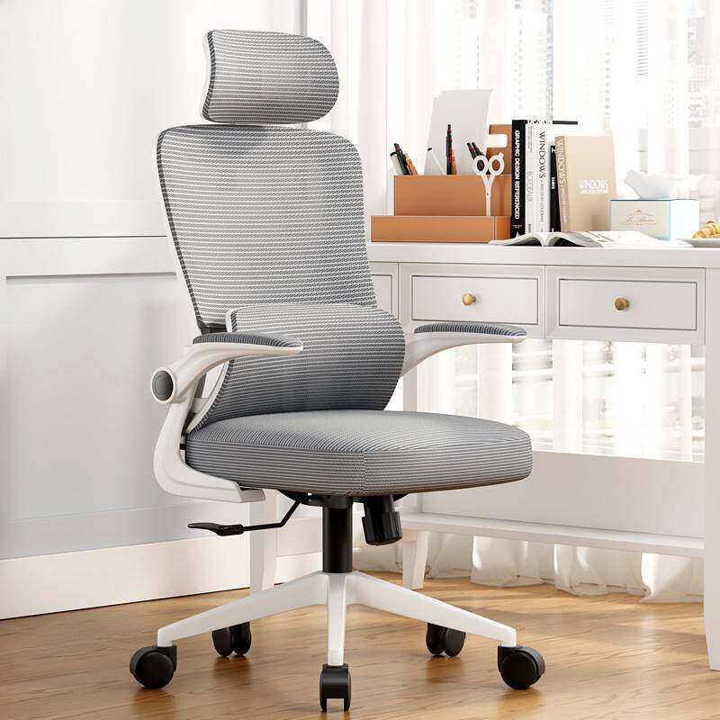High-Back Ergonomic Office Chair, Mesh Computer Chair with Lumbar ...