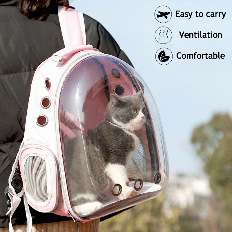 Transparent cat fashion bag