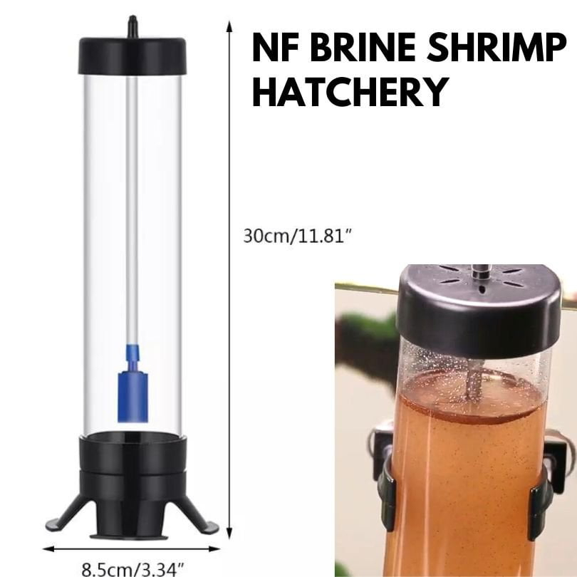 NF Brine Shrimp Hatchery (Grow Artemia Anywhere!) Shopee Singapore