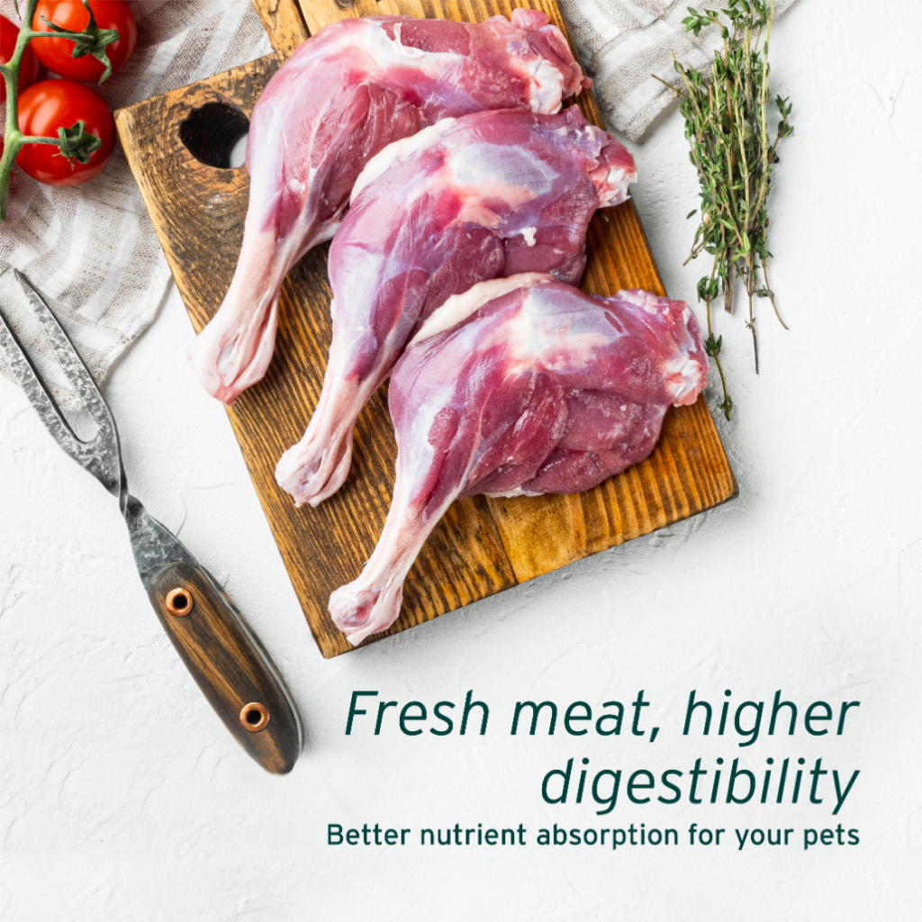 Picture of NurturePRO Nourish Life Grain-Free Dry Dog Food 4.99kg | healthy ...