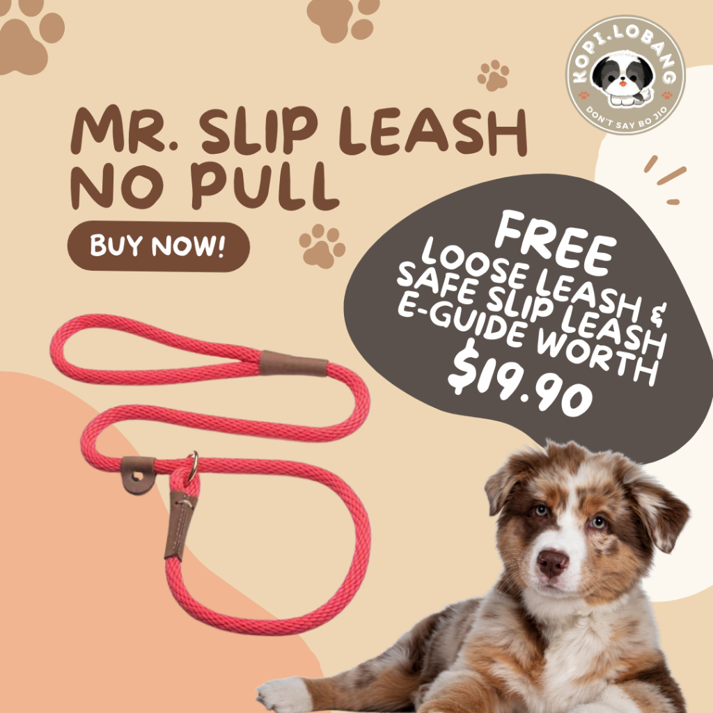 SG MR. SLIP LEASH NO PULL 5 Feet Loose Leash Walking