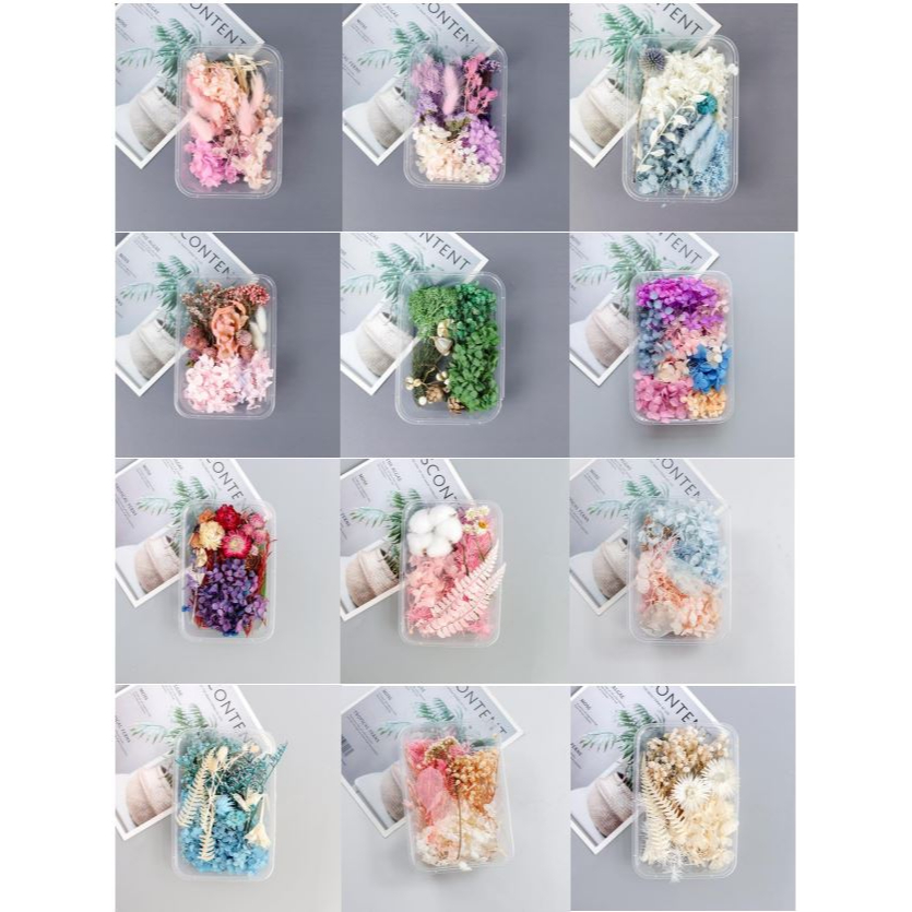 Dried Flower Box Set Beautiful Preserved Flower Mix Flower and Colours ...