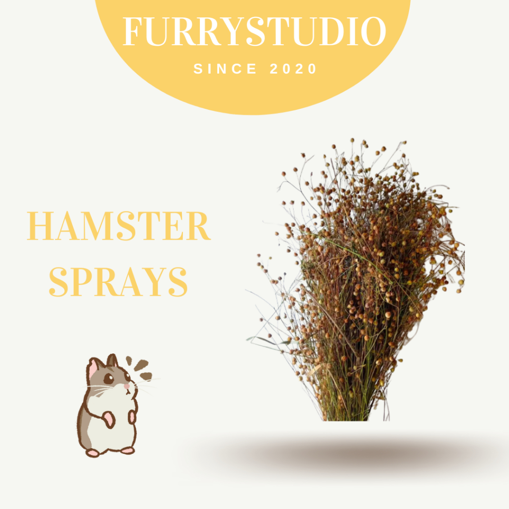 Hamster sprays 🌾 Flax seed 50g Shopee Singapore