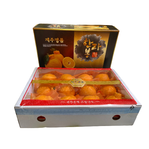 JEJU ISLAND HALLABONG MANDARIN ORANGE FRUIT FROM KOREA 3KG | Shopee ...