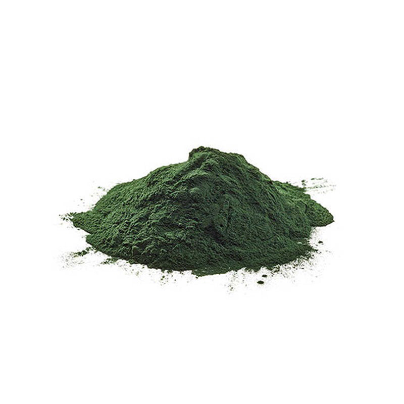 [Local SG] Organic Spirulina Powder for fish daphnia magna brine shrimp algae water for guppy