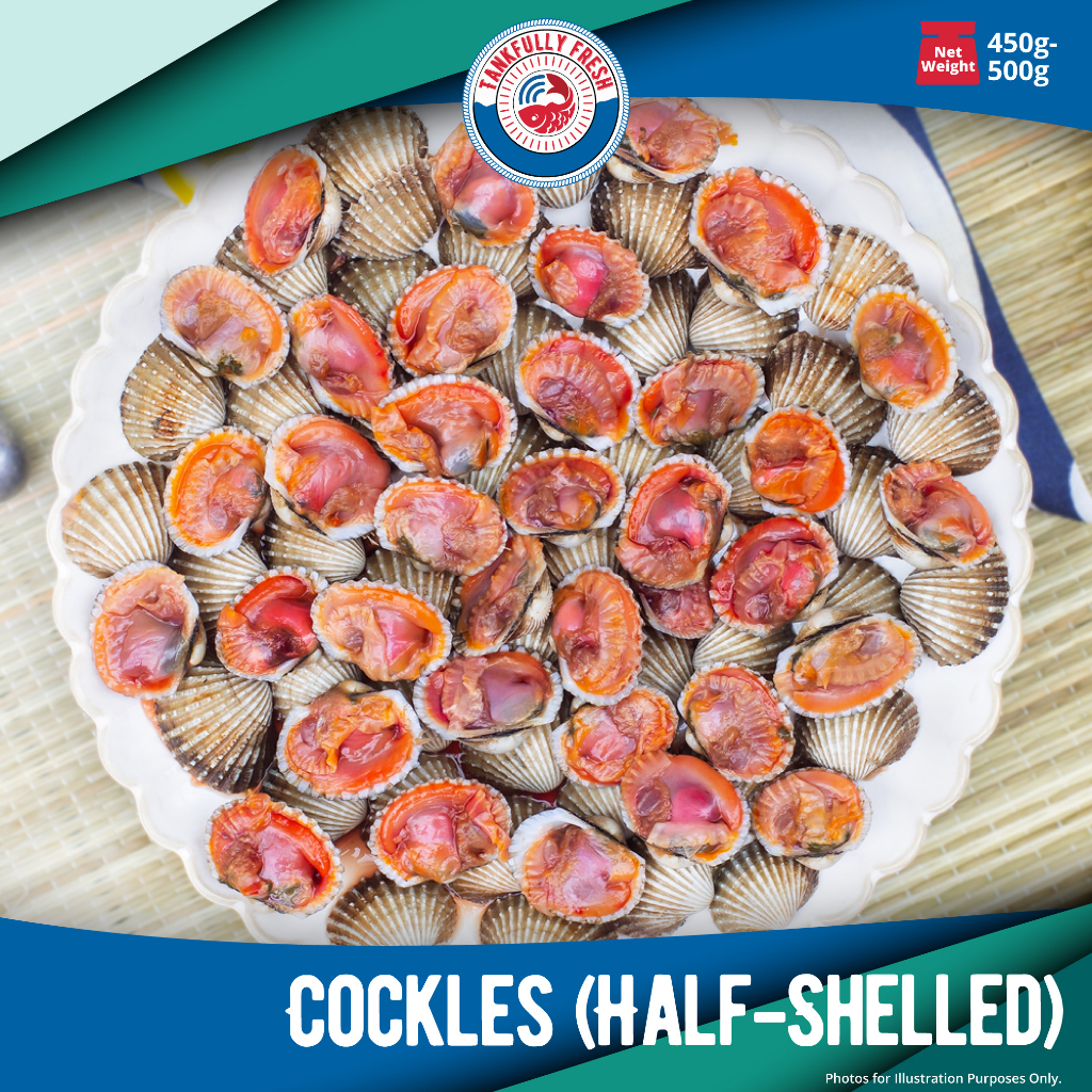 [Tankfully Fresh] Cockles (Half Shell) 冰冻血蚶 (1 pack, 450g - 500g ...