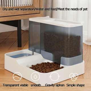 Electronic cat outlet bowl