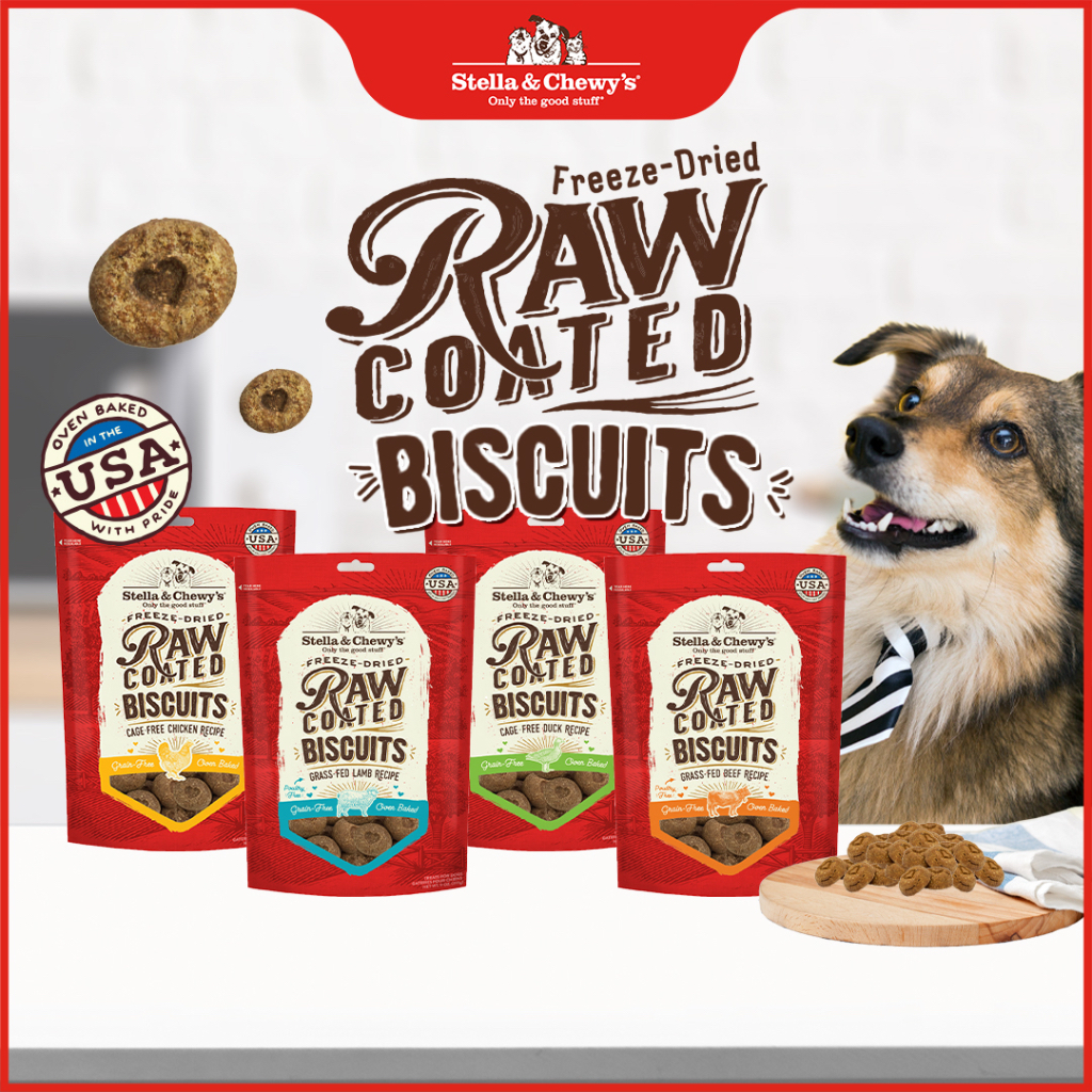 Stella Chewy s Raw Coated Biscuit Dog Treats 9oz Shopee Singapore