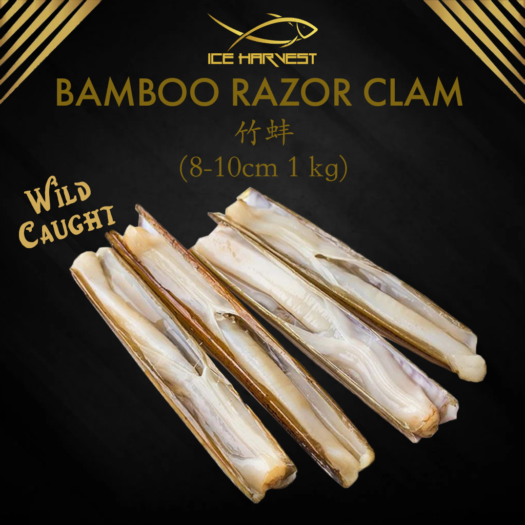 Bamboo Clam Razor Clam 1kg Wild Caught Fresh Frozen 竹蚌 | Shopee Singapore