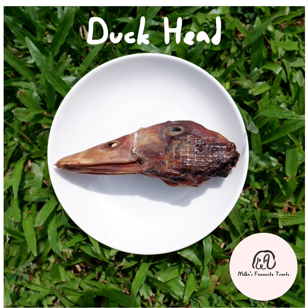 Dehydrated Duck Head as a Dental Chew (All Natural, Single Ingredient