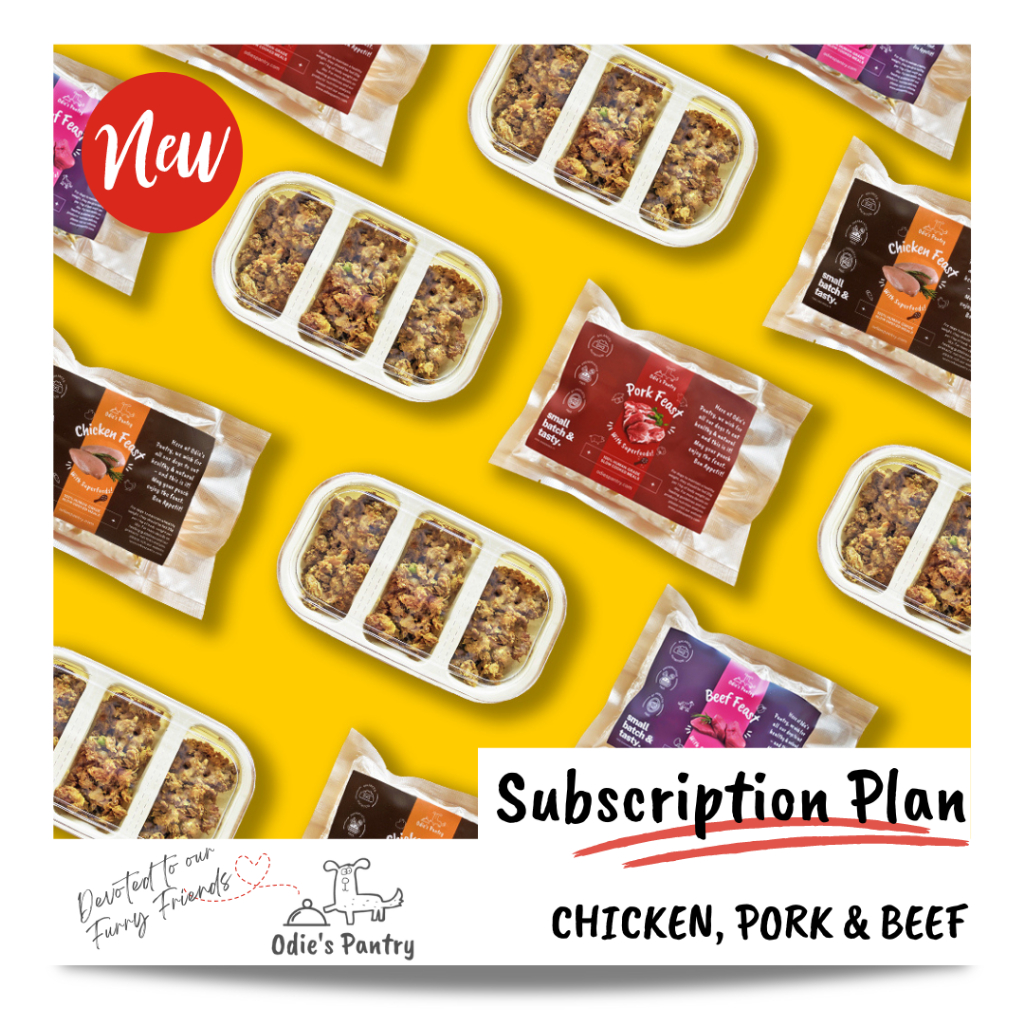 Odie's Pantry Core Variety Feast Subscription | Shopee Singapore
