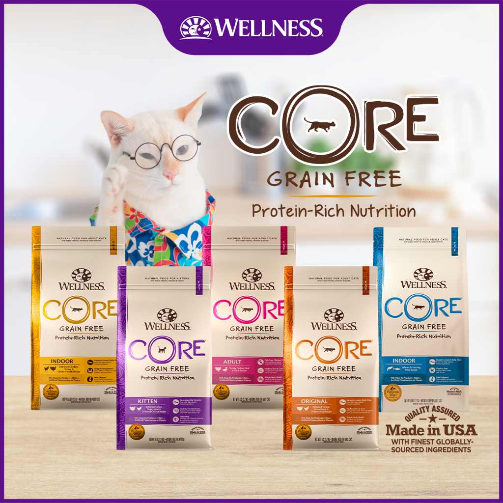 Wellness indoor health adult cat dry food sales