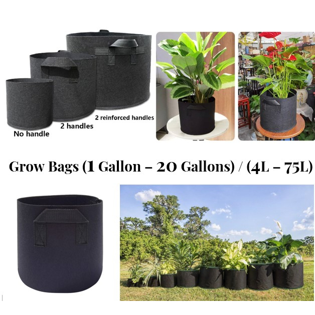 5pcs 1gallon 2 10 Gallon Plant Grow Bags fabric pots Flower planter box  vegetable nursery bags Jardin Growing planter container - AliExpress