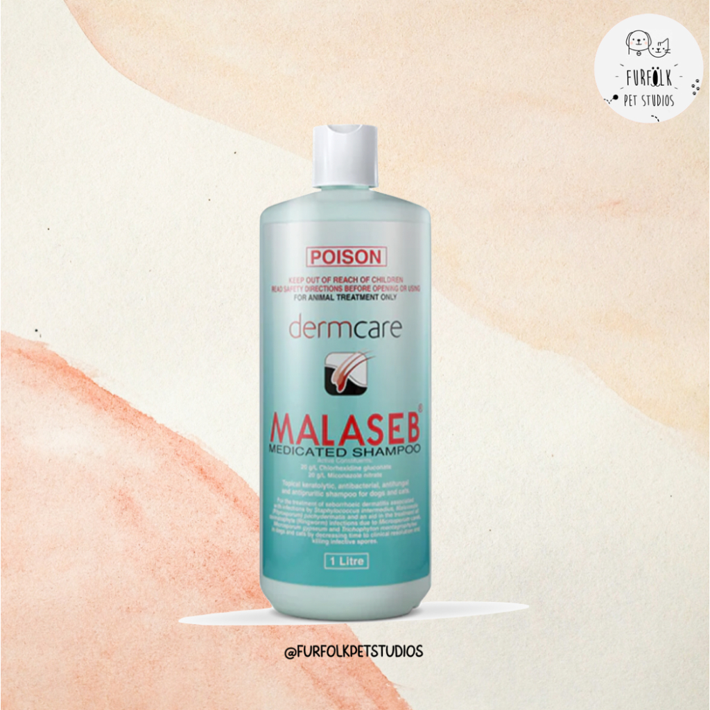 Dermcare malaseb outlet medicated shampoo