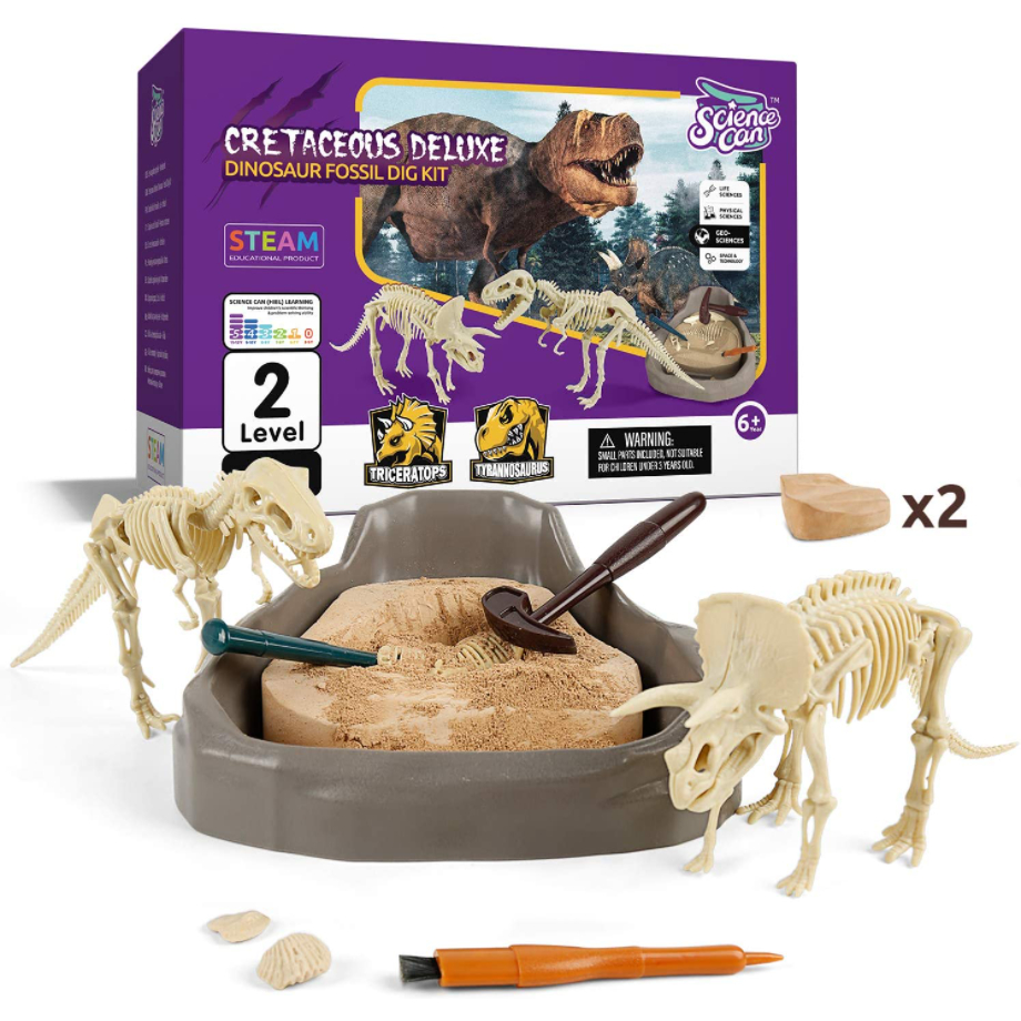 Science Can Tyrannosaurus Rex Dinosaur Fossil Dig Kit Education Toys ...