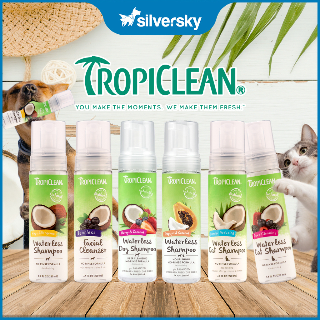 Tropiclean waterless best sale dog shampoo