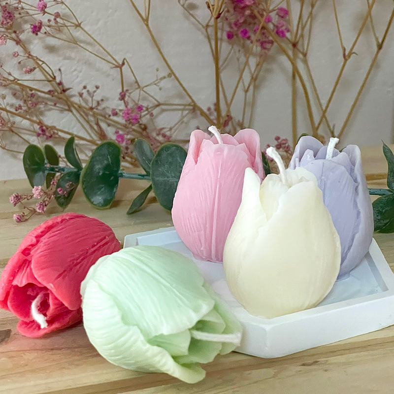 Colourful Tulip Candle Shopee Singapore