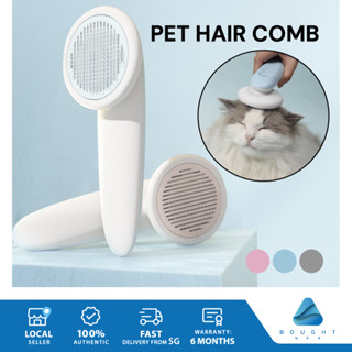 Electric pet outlet brush