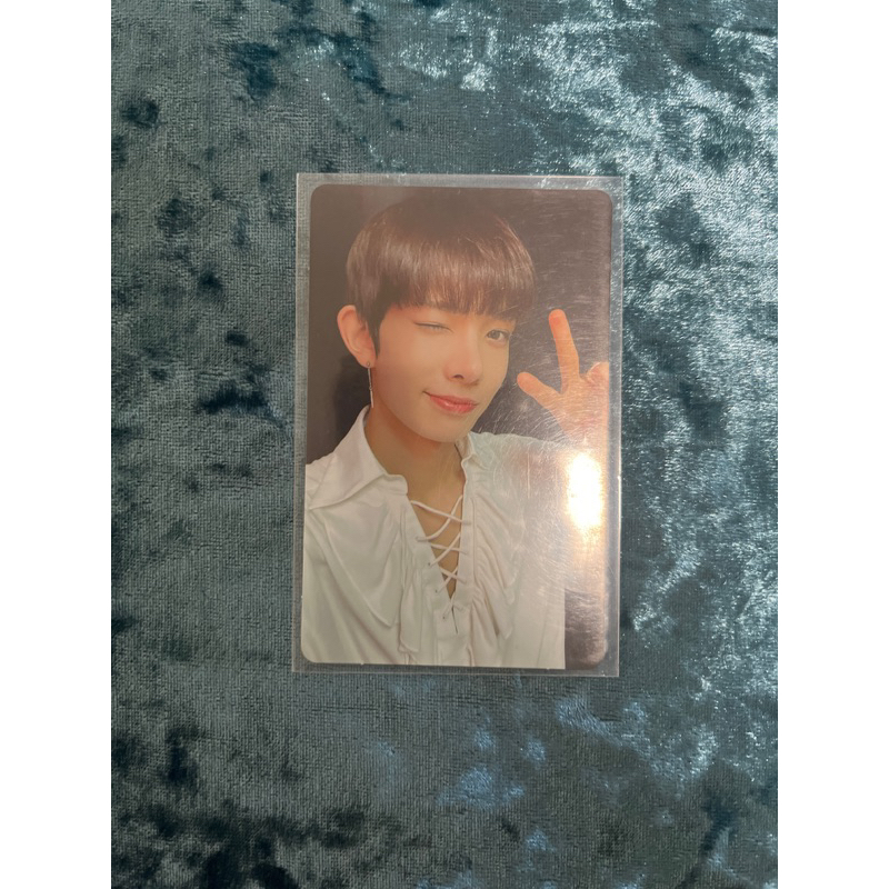 [Toploader] Enhypen Border One Photocard PC Postcard POB Poster ...