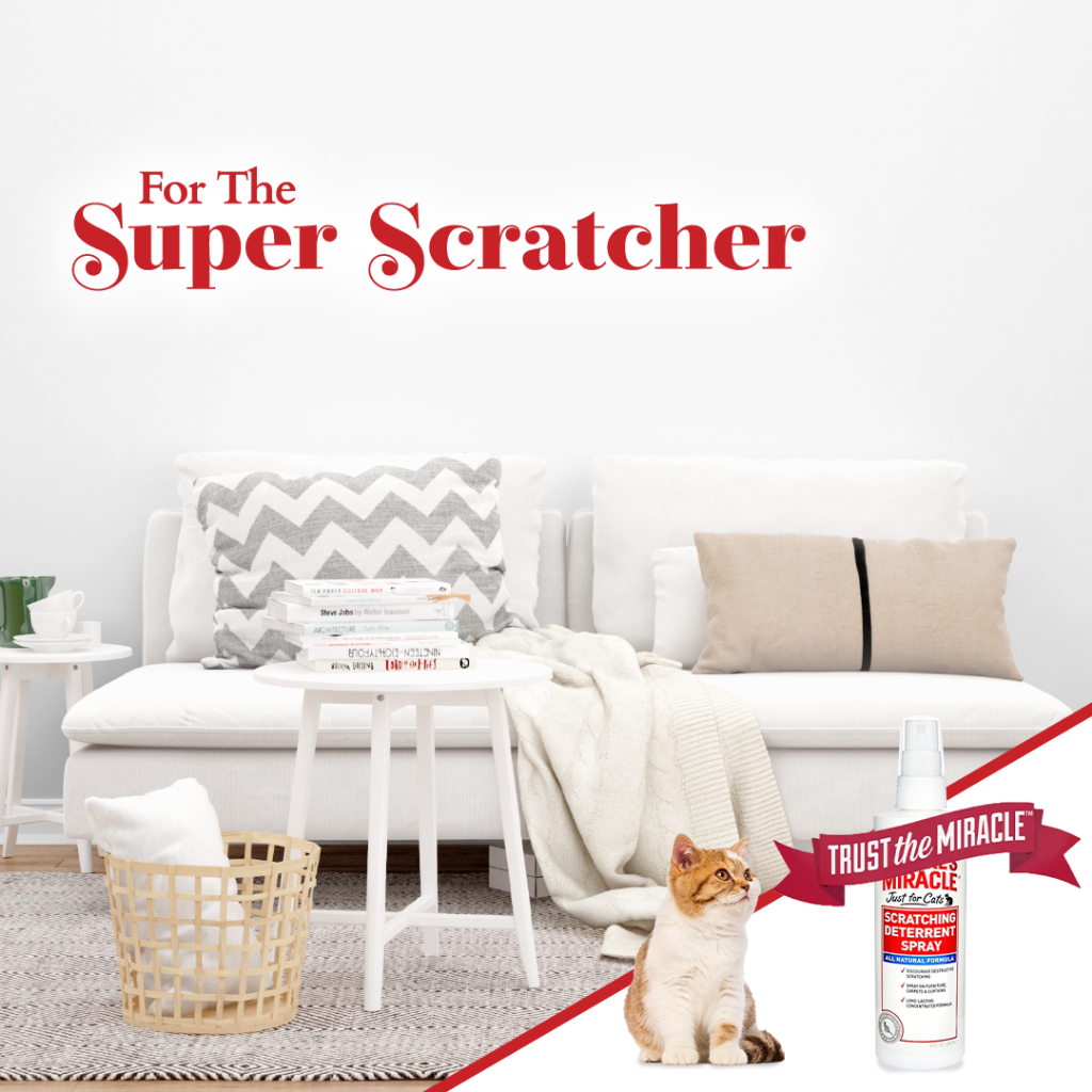 Nature's Miracle Just for Cats Scratching Deterrent Spray Shopee